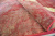 Ковер  (02M102/RED/340x240)