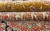 Бельгийский ковёр из бамбуковой вискозы (0IS025/DARKGOLDN4/300x200) Бельгийский ковёр из бамбуковой вискозы (0IS025/DARKGOLDN4/300x200)
