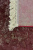 Ковер  (02M102/RED/340x240)