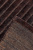 Индийский ковёр из шерсти (14-3016/263x227)